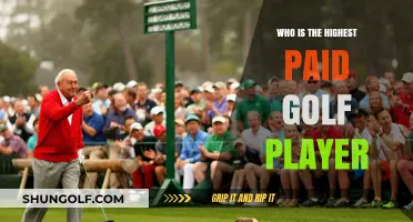 Top Earner on the Green: Who's the Highest-Paid Golf Player?