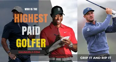 Tiger Woods: Golf's Highest-Paid Player