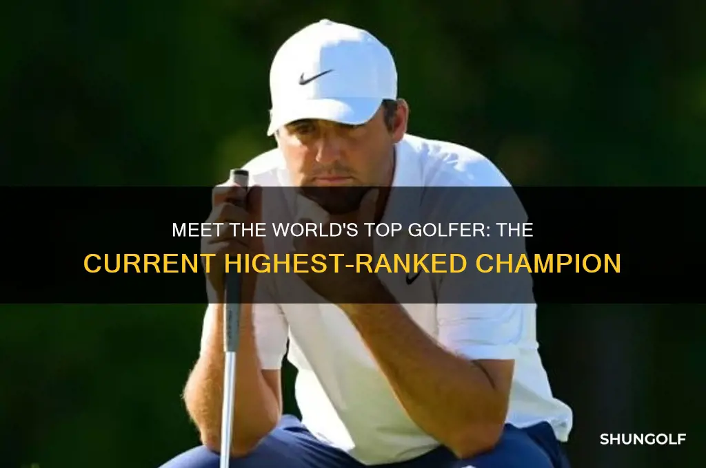 who is the highest ranked golfer in the world
