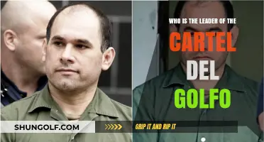 Unveiling the Current Leader of Cartel del Golfo: A Deep Dive