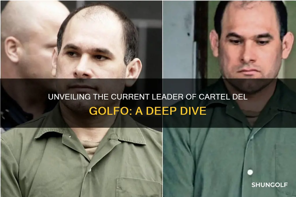 who is the leader of the cartel del golfo