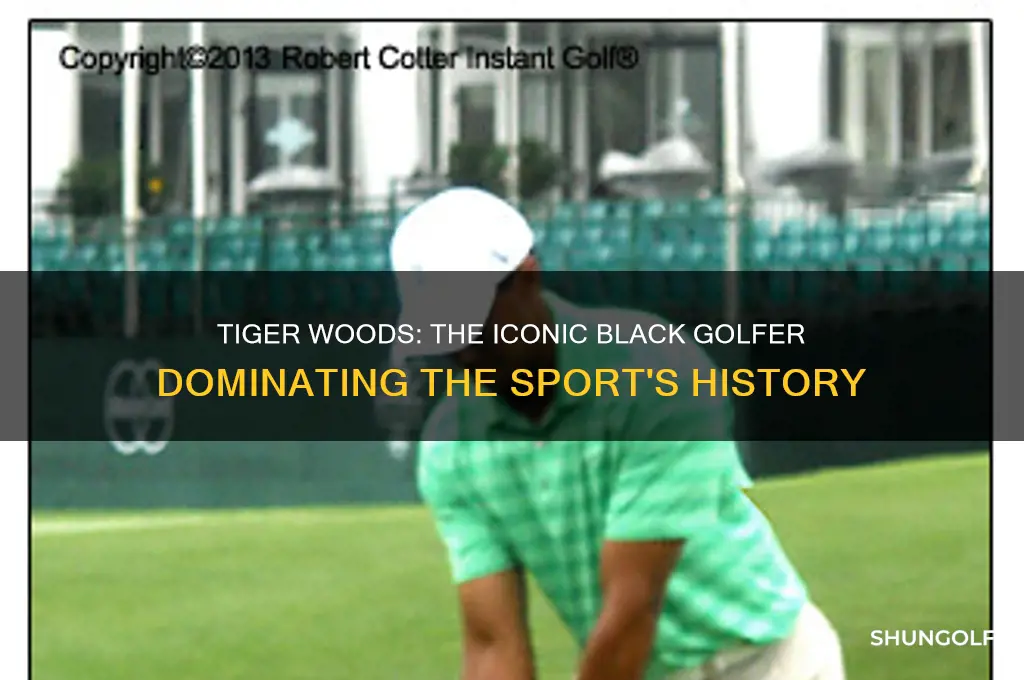 who is the most famous black golfer