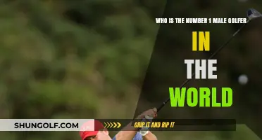 Meet the Reigning Champion: World's Top Male Golfer Revealed