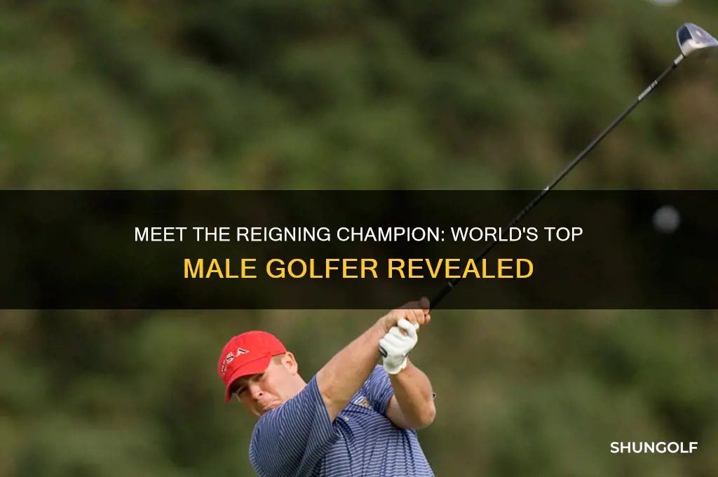 who is the number 1 male golfer in the world
