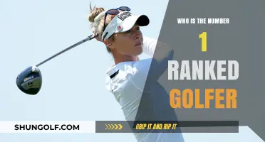 Discovering the Current Top-Ranked Golfer in the World