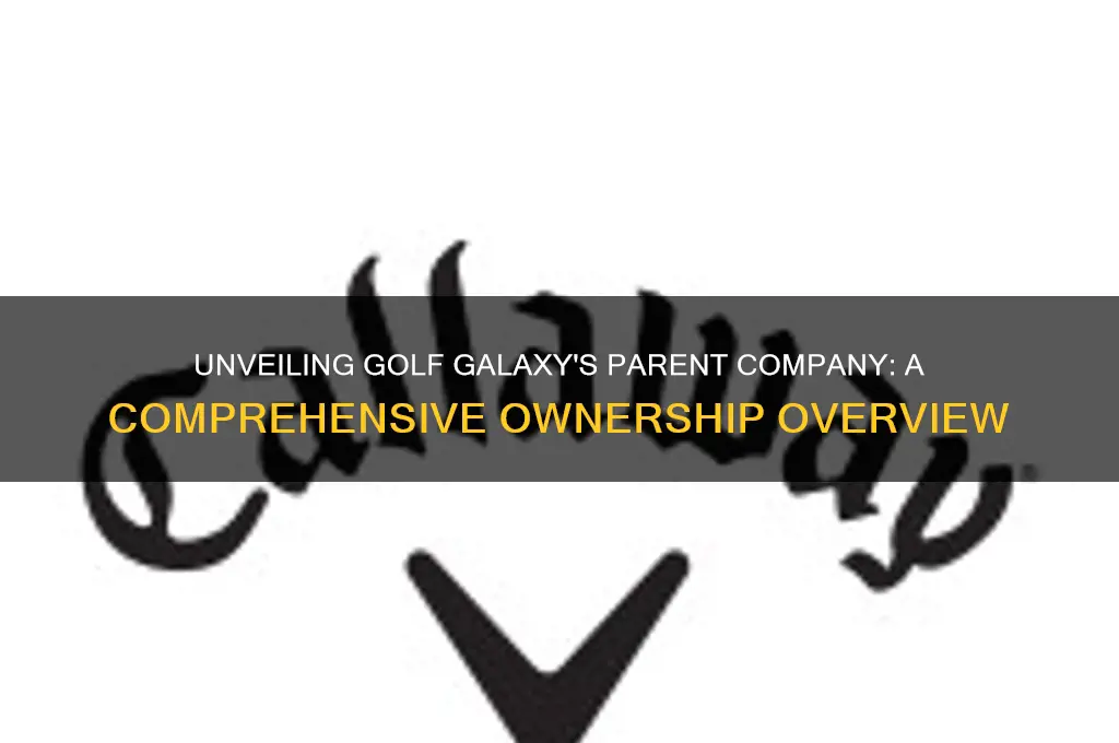 who is the parent company for golf galaxy