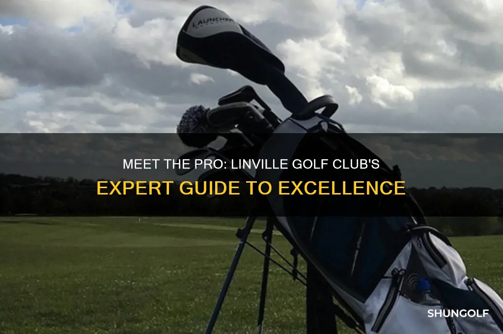 who is the pro at linville golf club