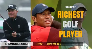 Exploring the Wealth of the World's Top Golfers: Who Holds the Title?