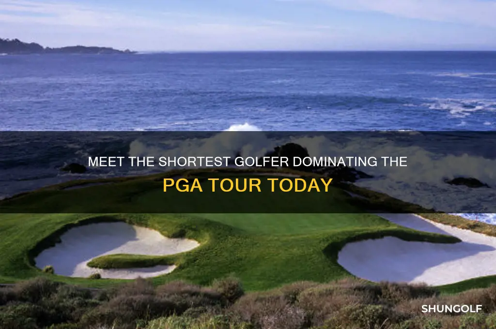 who is the shortest golfer on the pga tour