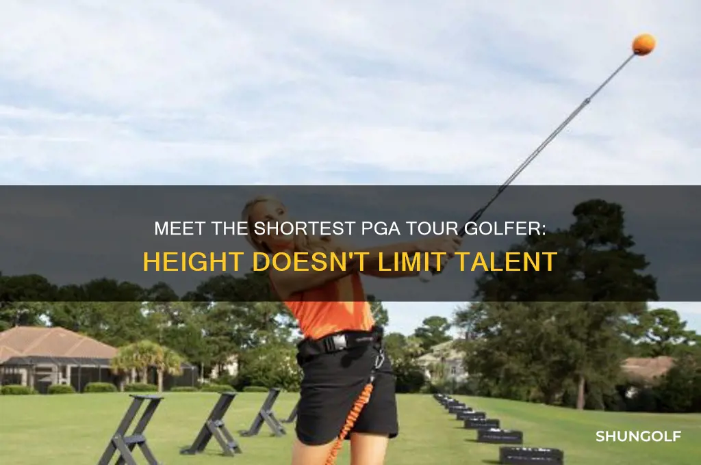 who is the shortest pga tour golfer