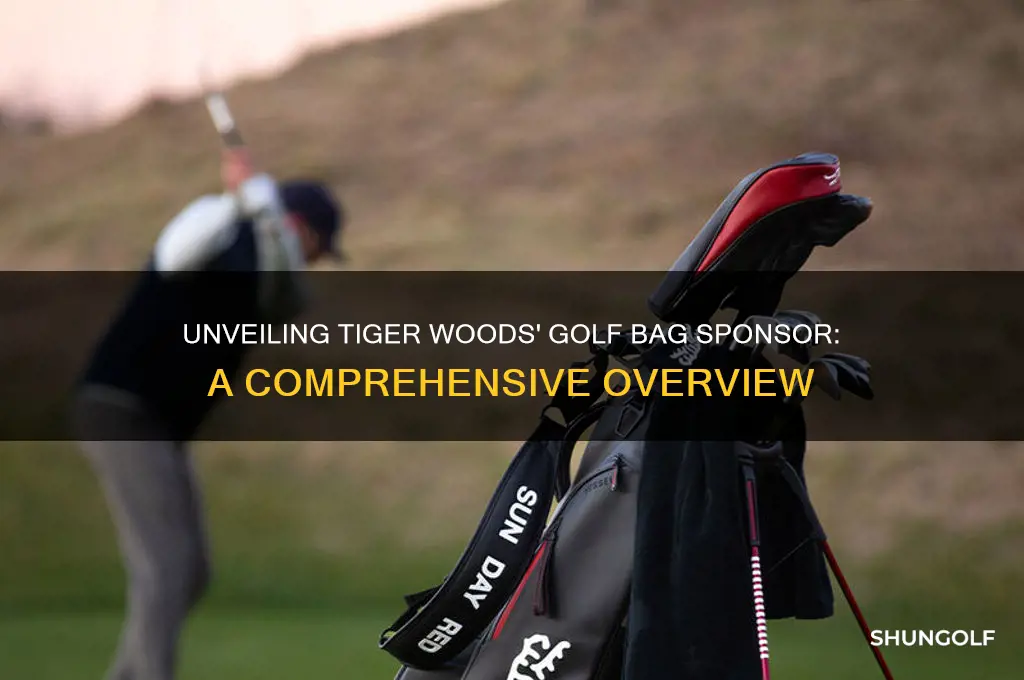 who is the sponsor on tiger woods golf bah
