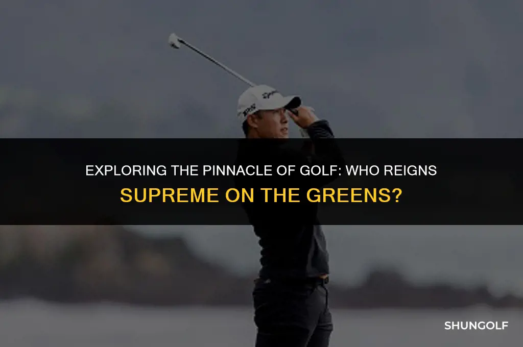who is the top golf player