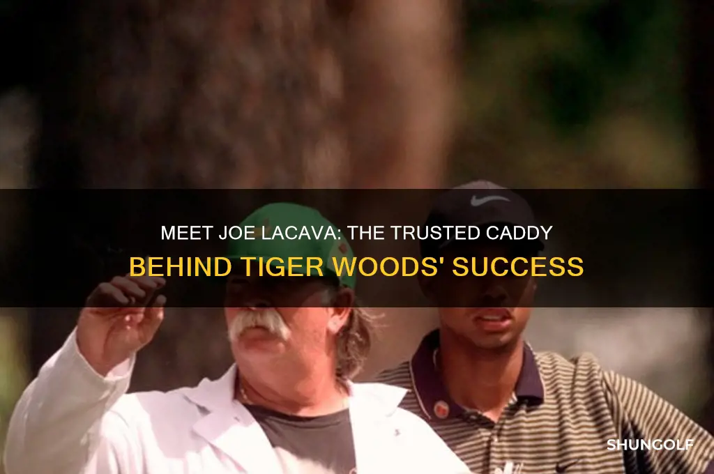 who is tiger woods golf caddy