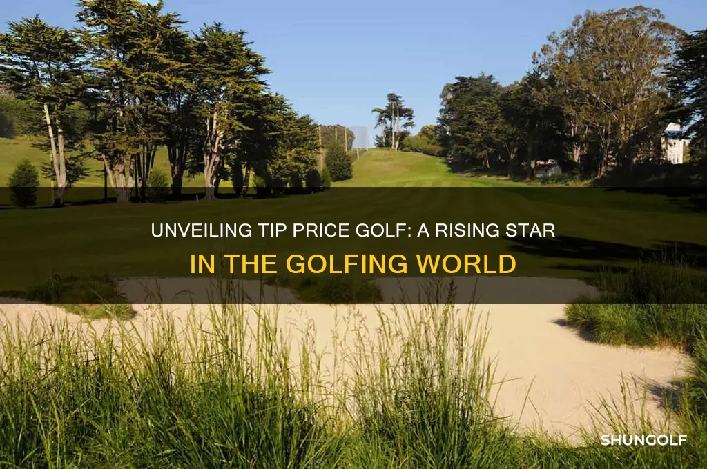 who is tip price golf