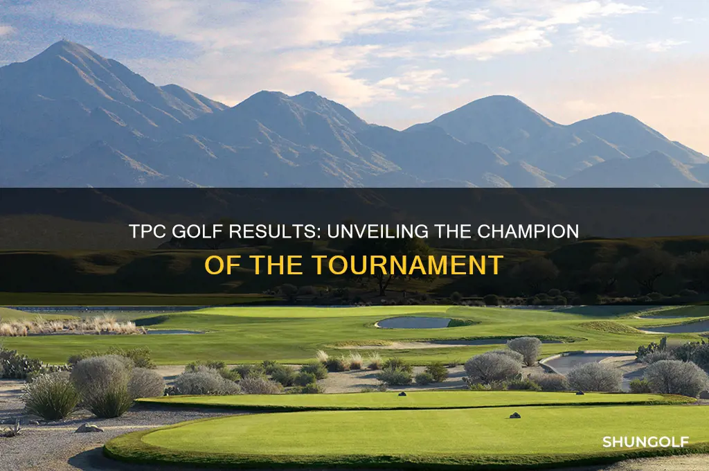 who is winner of tpc golf results