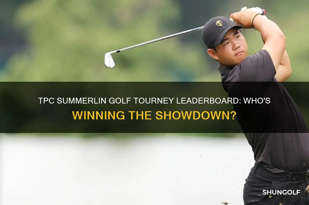 who is winning golf tourney at tpc summerlin