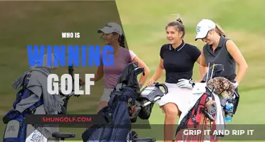 Who's Dominating the Fairways? Current Golf Leaders and Trends