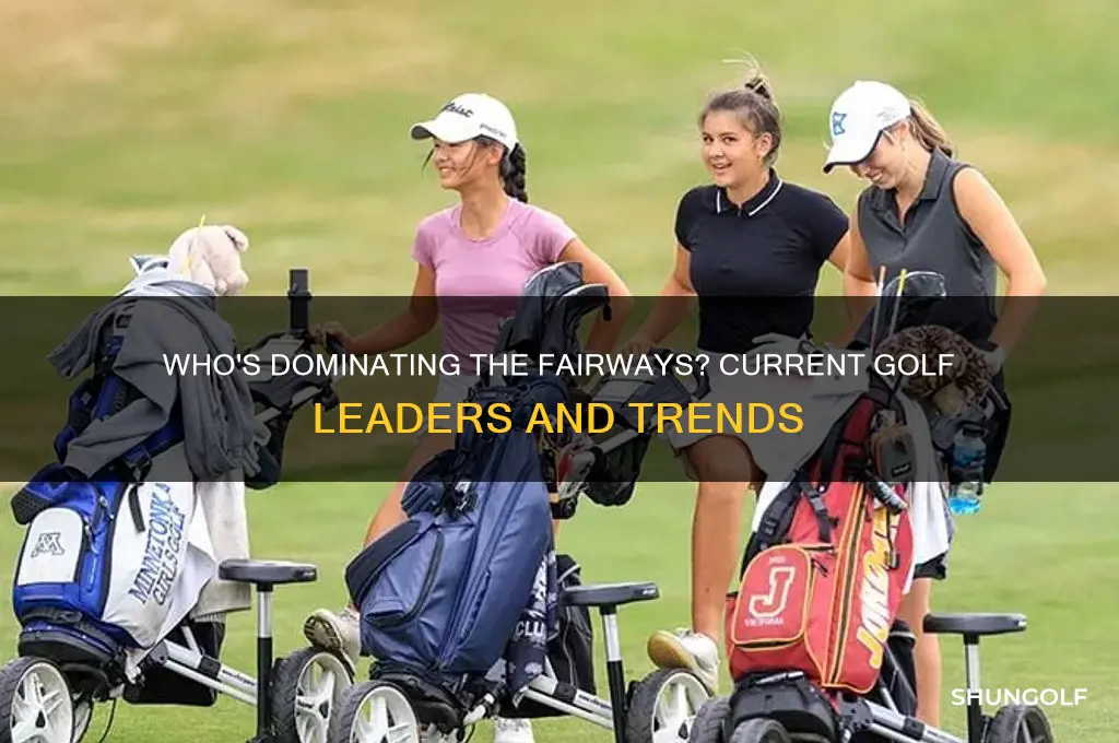 who is winning golf