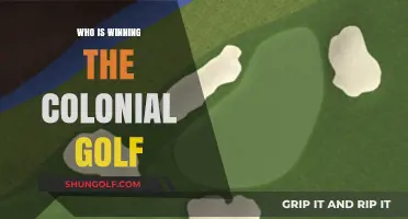 Colonial Golf Tournament Leaderboard: Who's Dominating the Greens?