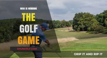 Who's Leading the Fairway? Analyzing the Current Golf Game Dominance