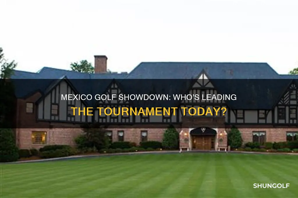 who is winning the golf in mexico