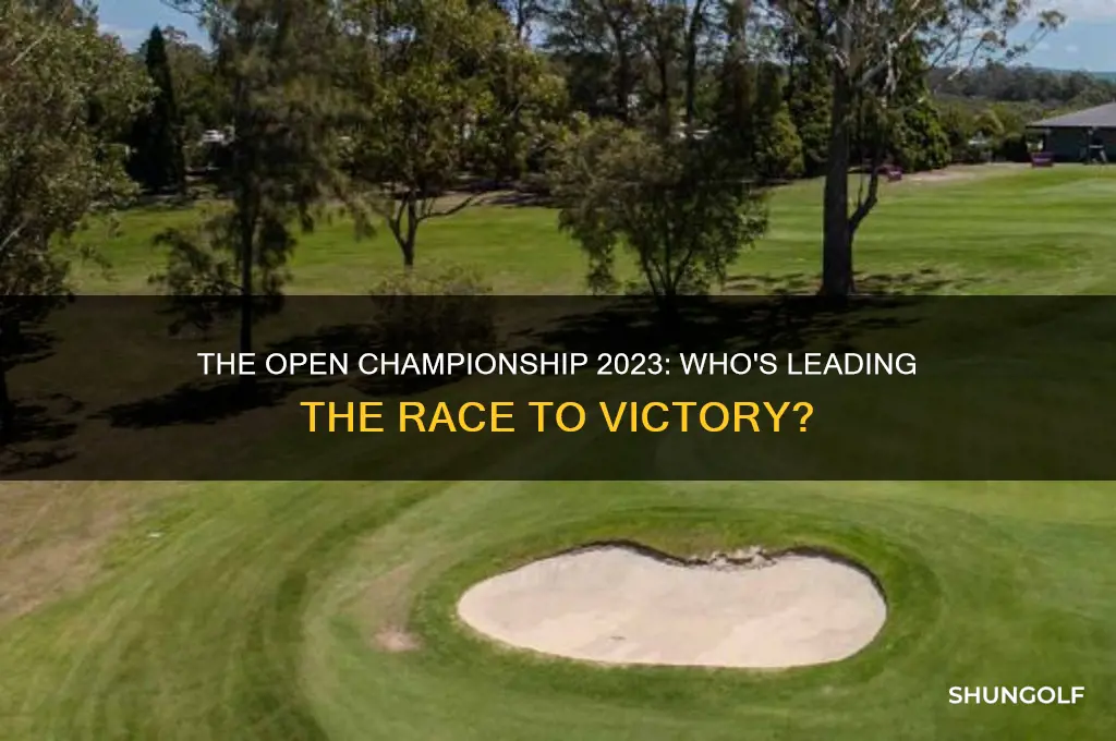 who is winning the open