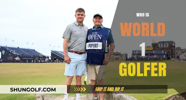 Meet the Reigning Champion: Who Holds the Title of World No. 1 Golfer?