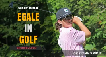 Who Just Made an Eagle in Golf? Unveiling the Stunning Shot