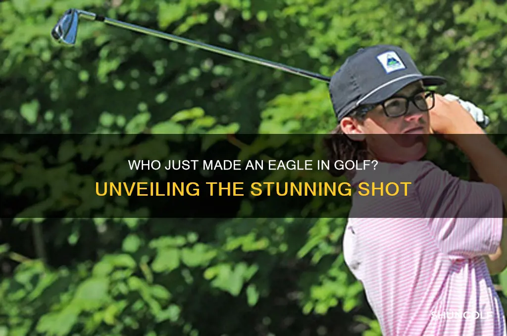 who just made an egale in golf