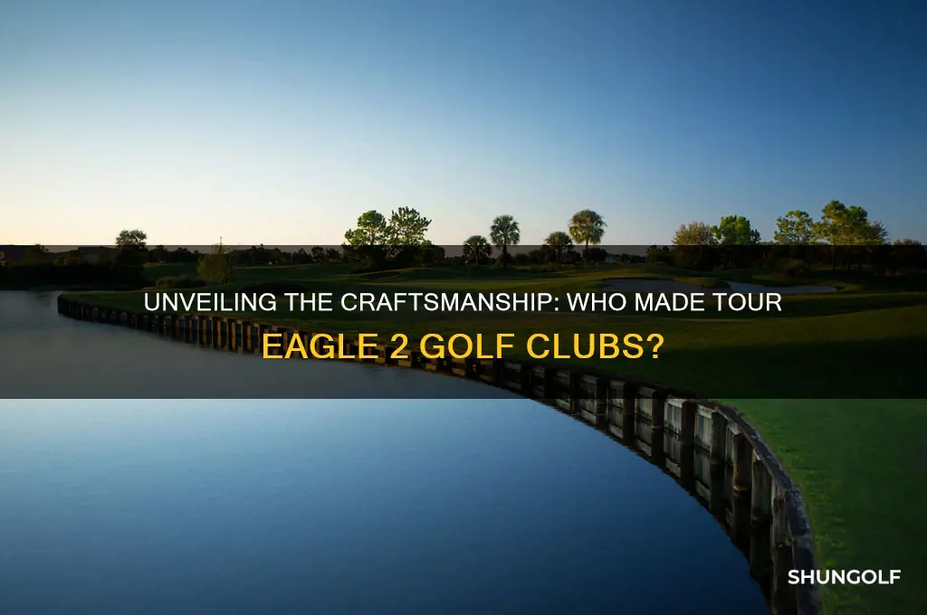 who made tour eagle 2 golf clubs
