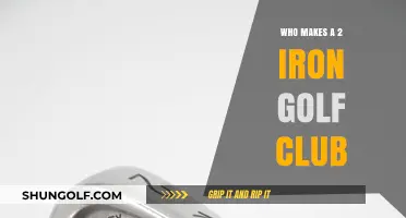Crafting Precision: Brands Behind the Rare 2 Iron Golf Club