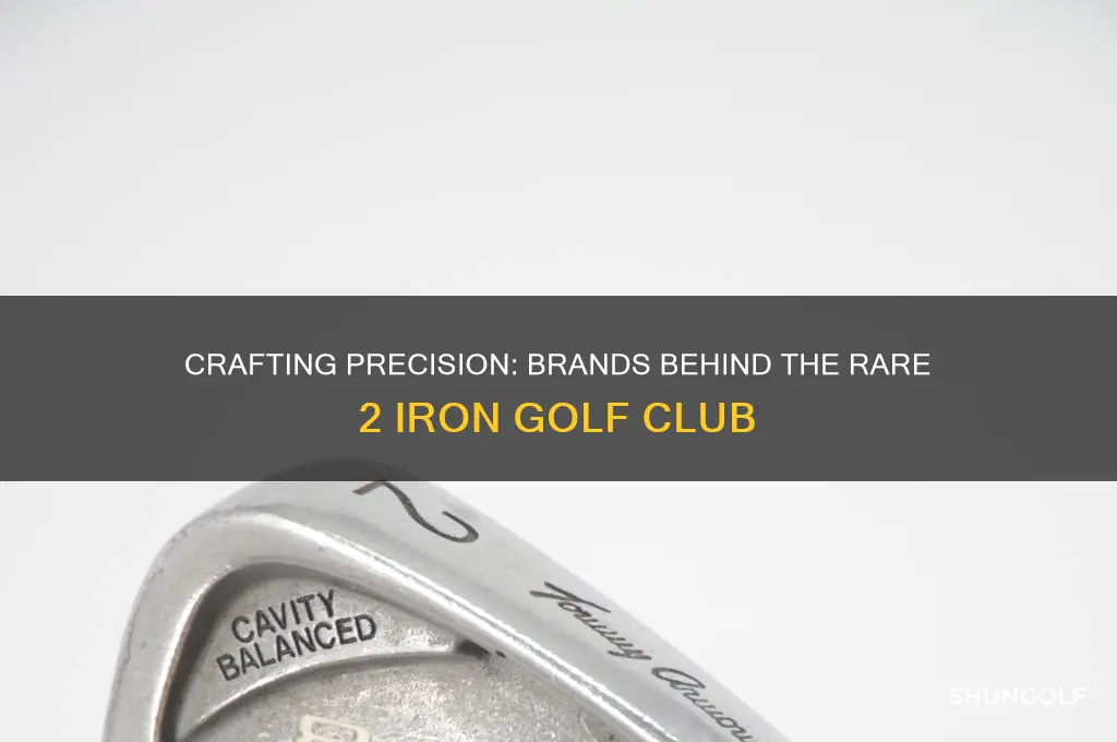 who makes a 2 iron golf club