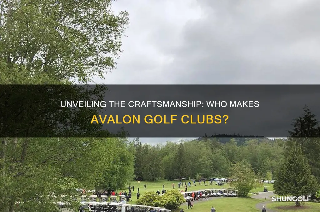 who makes avalon golf clubs