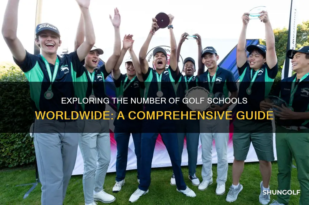 who many di golf schools