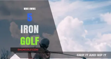 Unveiling the Ownership Mystery Behind 5 Iron Golf