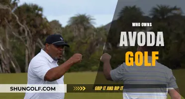 Unveiling the Ownership: Who Controls Avoda Golf Today?