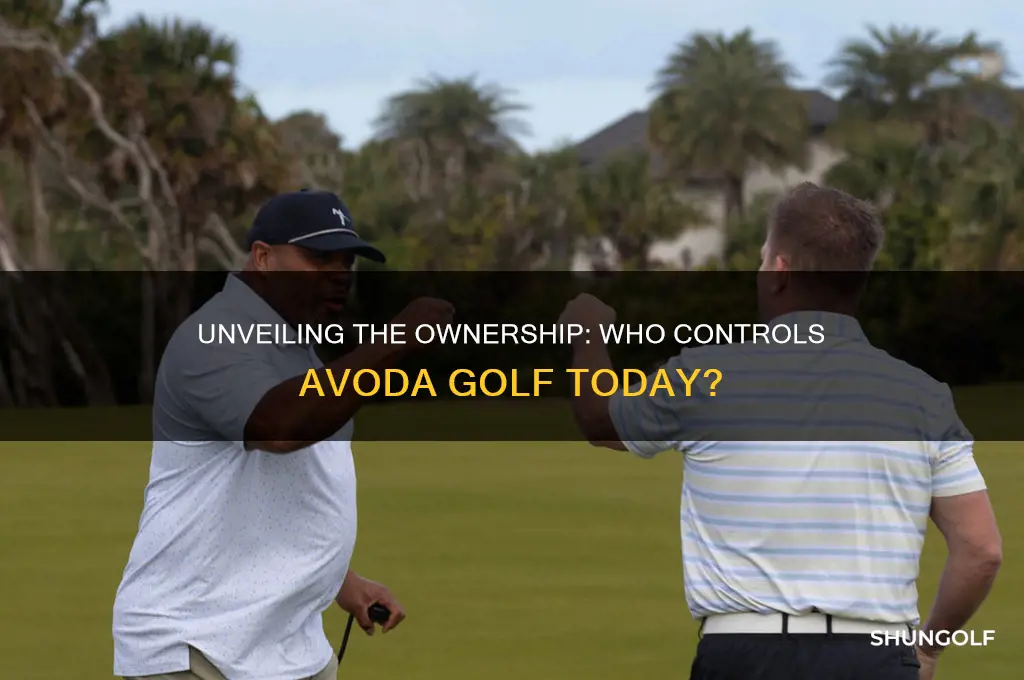 who owns avoda golf