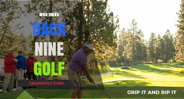 Unveiling the Ownership Mystery of Back Nine Golf Brand