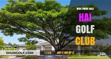 Unveiling the Ownership Mystery of Bali Hai Golf Club in Las Vegas