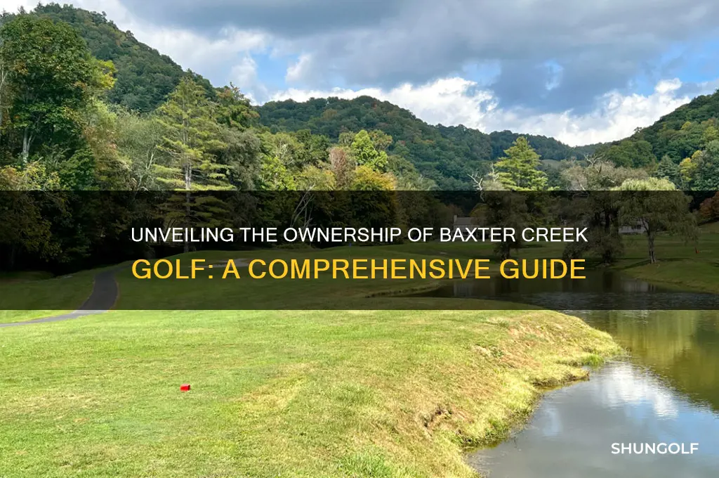 who owns baxter creek golf