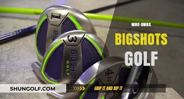 Unveiling the Ownership Mystery Behind BigShots Golf Franchise