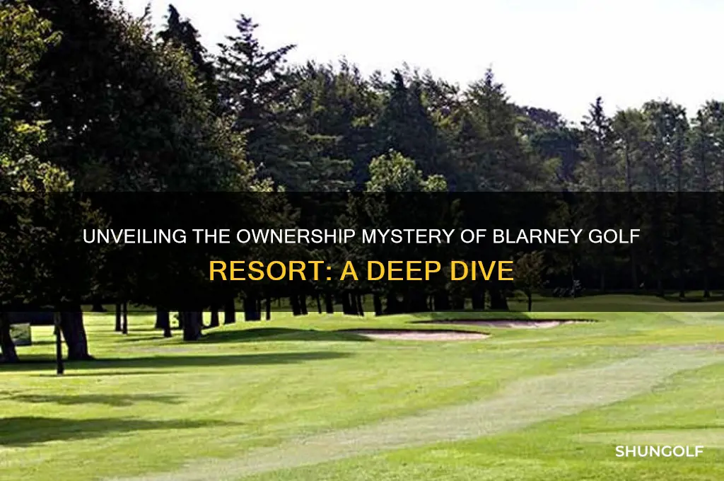 who owns blarney golf resort
