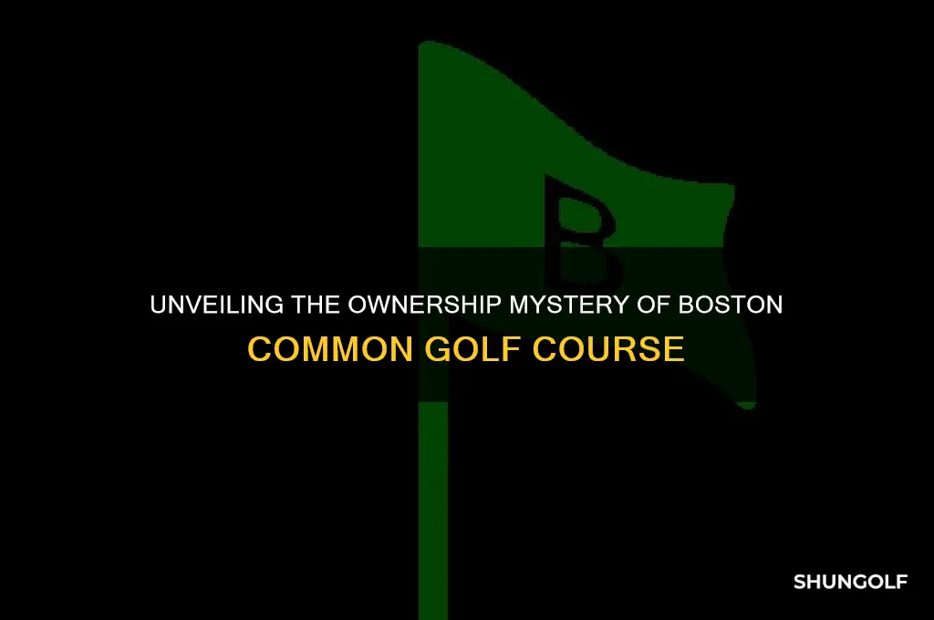 who owns boston common golf