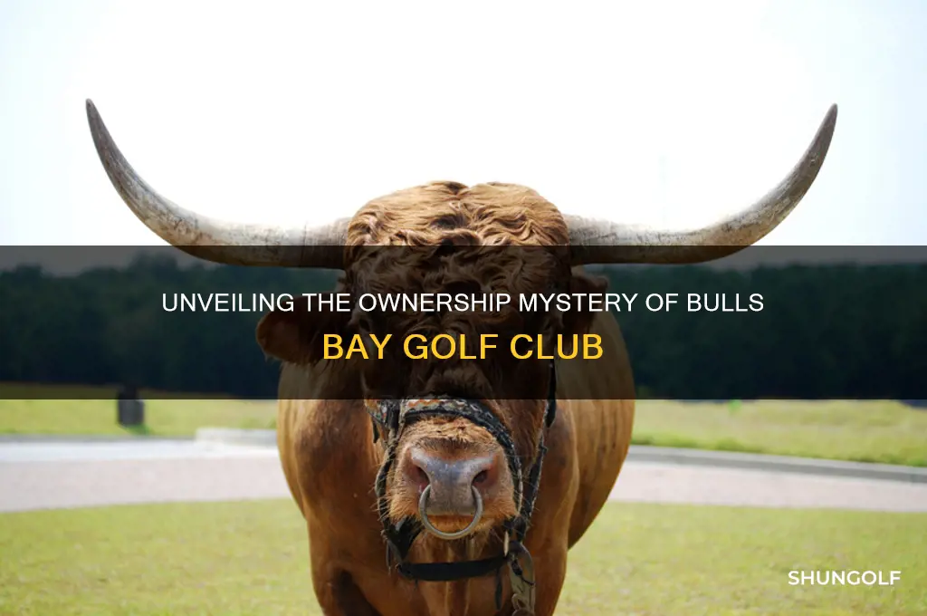 who owns bulls bay golf club