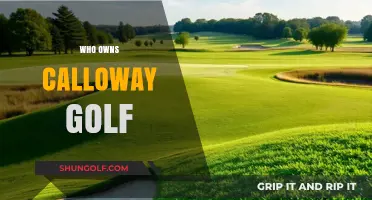 Unveiling the Ownership: Who Controls Calloway Golf Today?