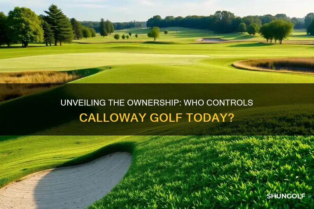 who owns calloway golf