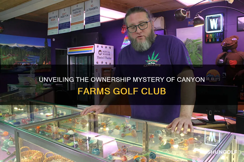 who owns canyon farms golf club