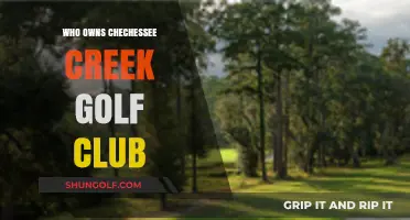 Who Owns Chechessee Creek Golf Club? Unveiling the Ownership Mystery