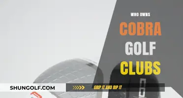 Unveiling the Ownership: Who Controls Cobra Golf Clubs Today?