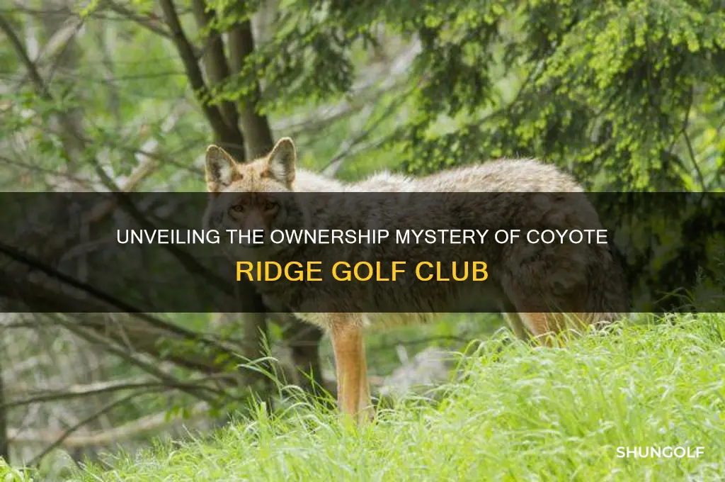 who owns coyote ridge golf club